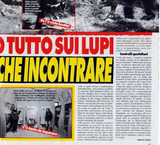 lupi 4